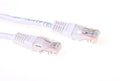 1m Cat5e UTP Wit