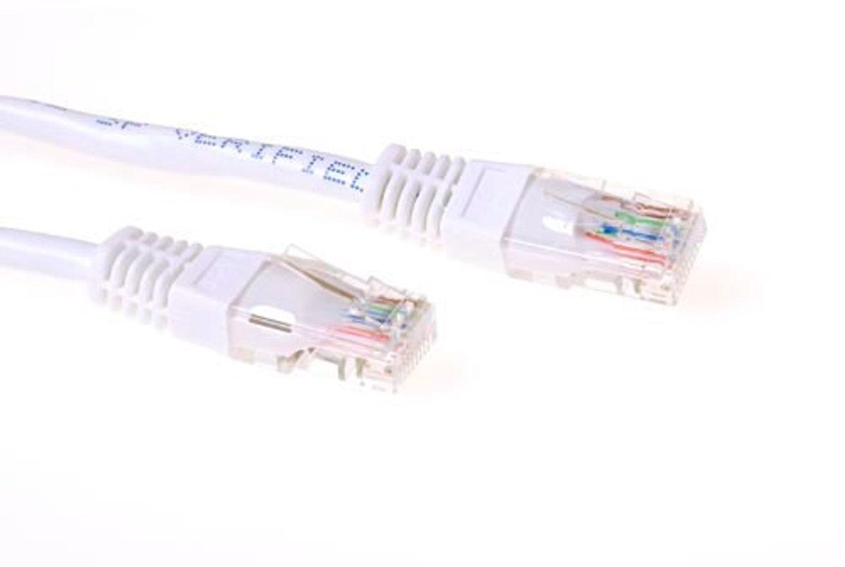 1m Cat5e UTP Wit