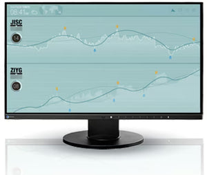 FlexScan EV2450 Zwart | 24" Full HD IPS-monitor